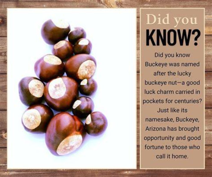 Are Buckeye nuts lucky