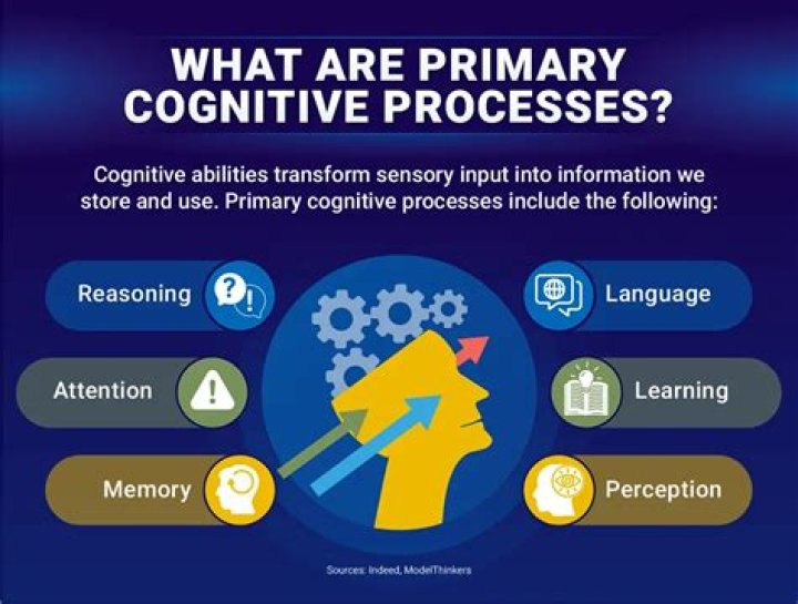 Are dreams a cognitive process