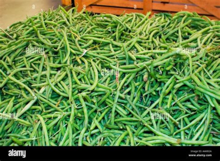 Are Kentucky Wonder beans stringless