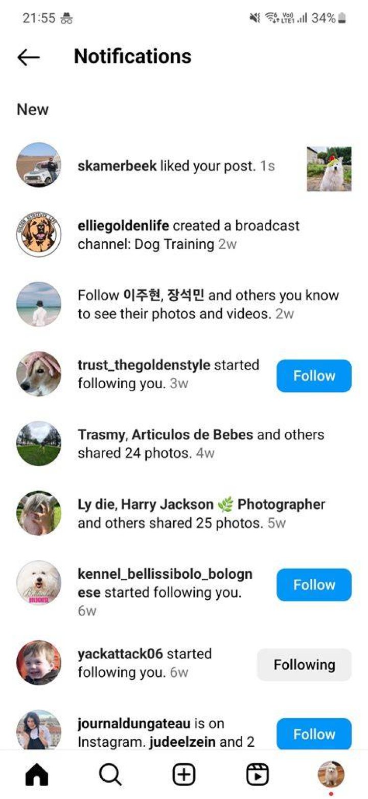 Are Liking posts flirting?