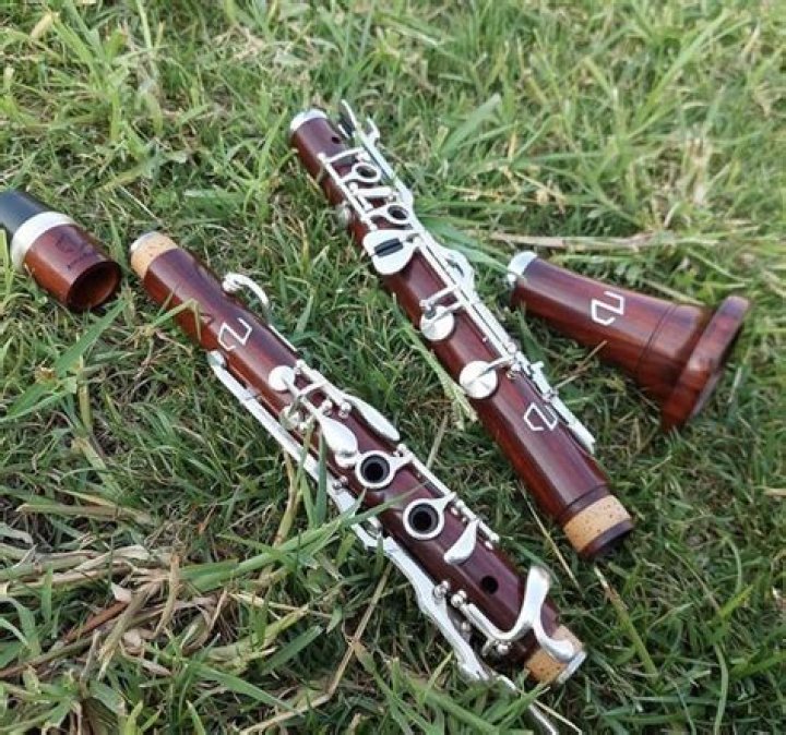 Are plastic clarinets any good?