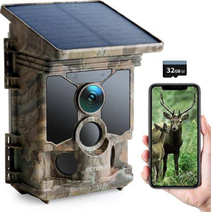 Are Ring cameras motion activated