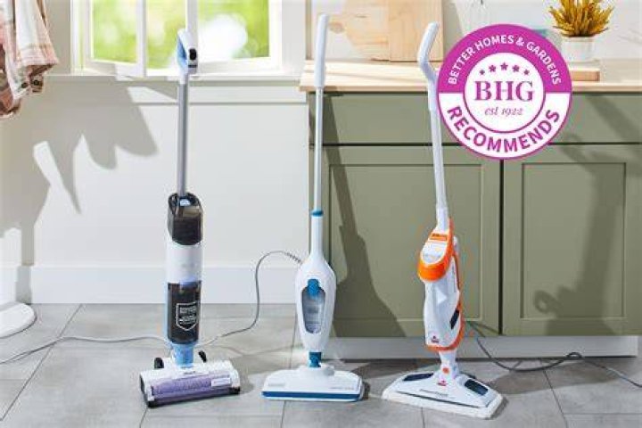 Are steam mops worth getting?