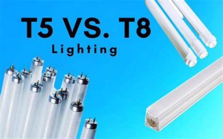 Are t5 brighter than t8