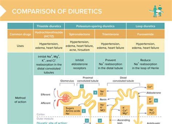 Are thiazide diuretics safe