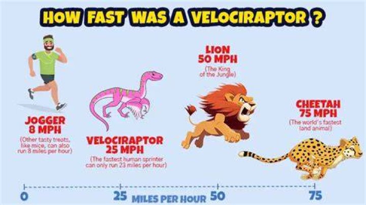 Are Velociraptors fast?