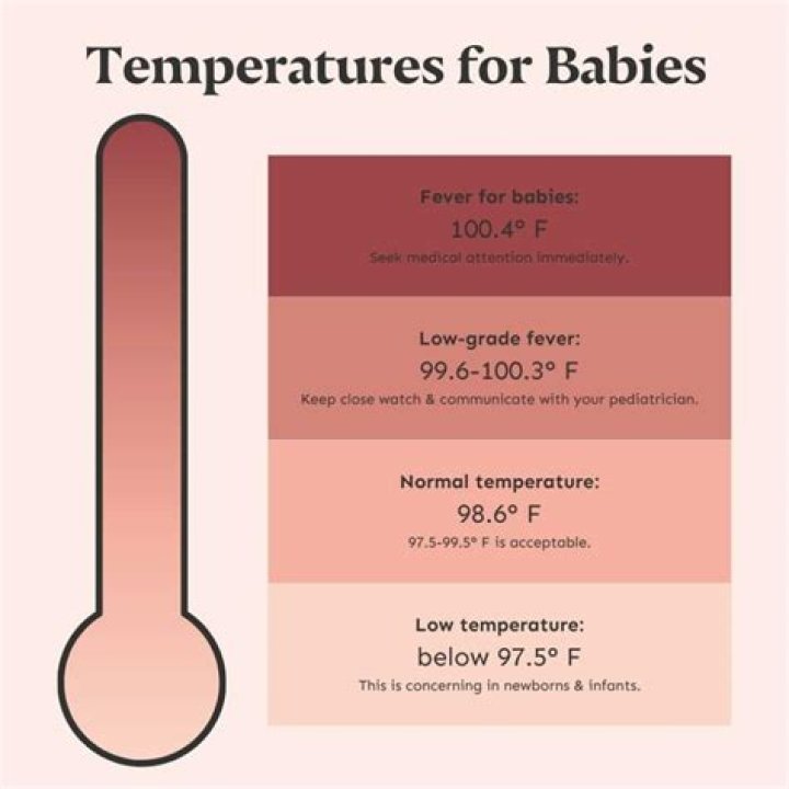 At what temperature does cheese burn?