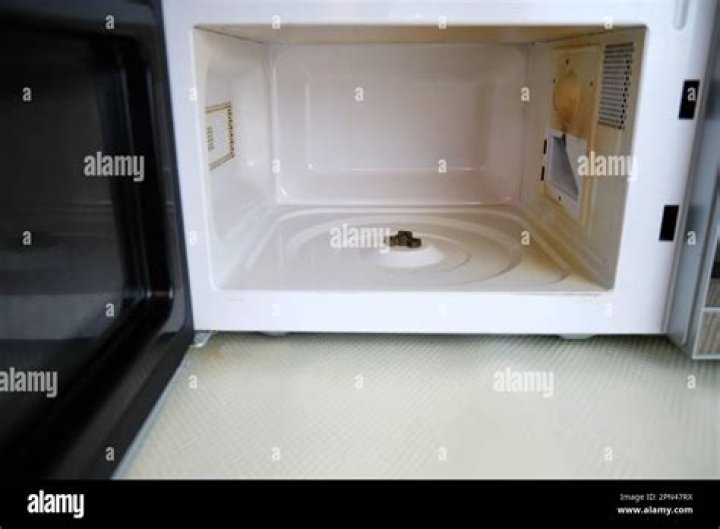 Can a broken microwave be fixed?