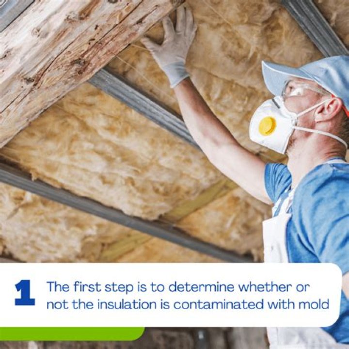 Can attic insulation mold