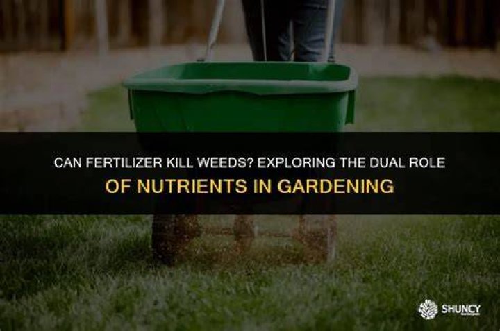 Can fertilizer kill weeds