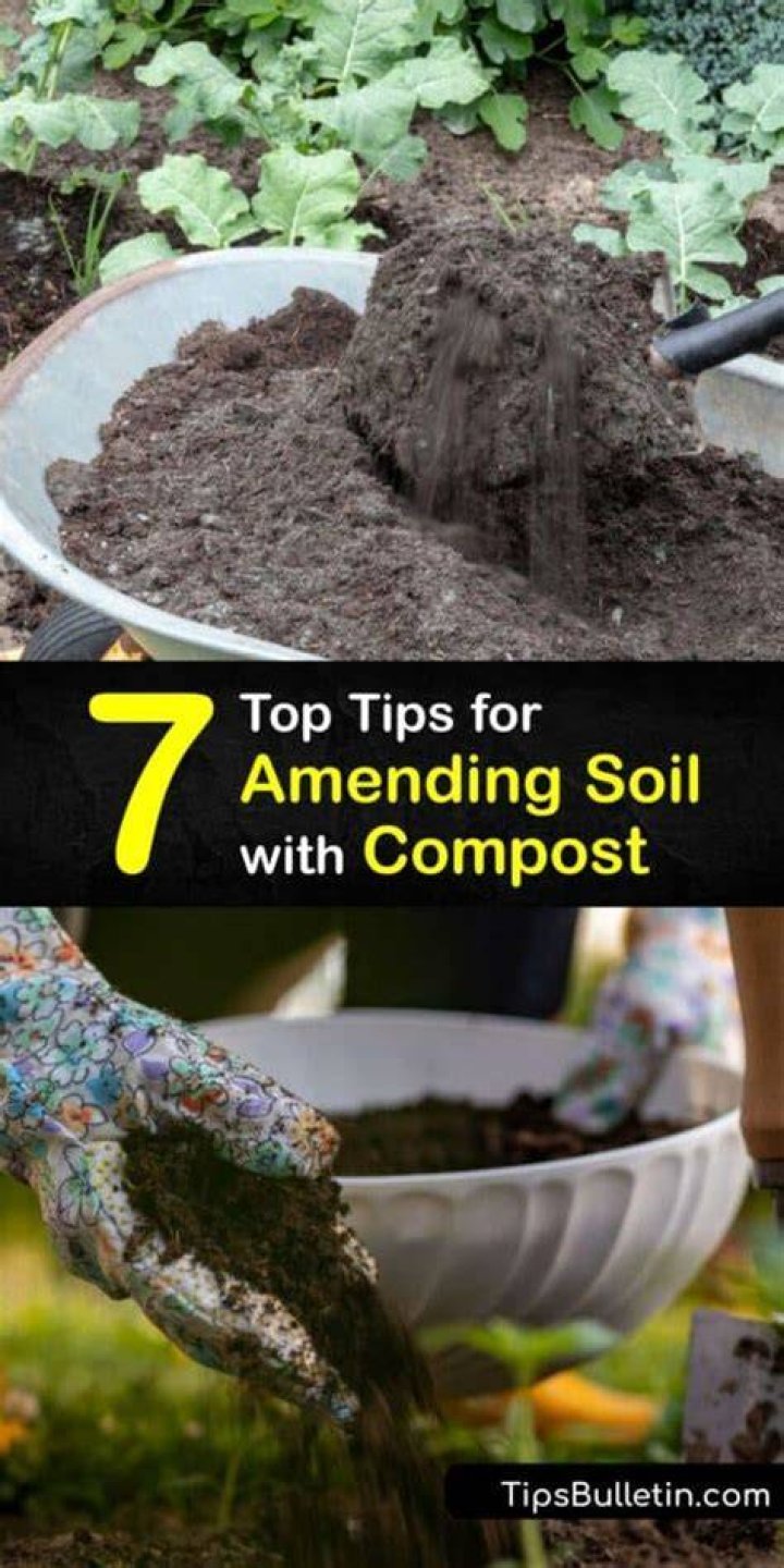 Can I mix compost with soil