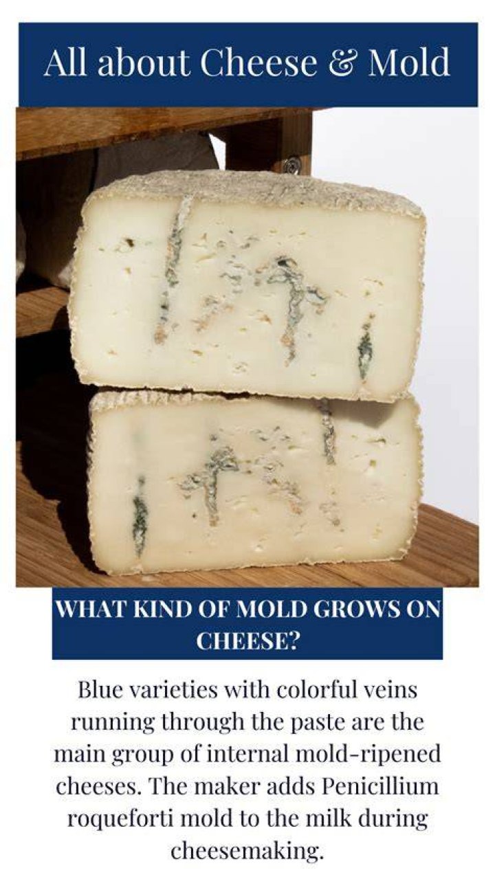 Can mold grow inside cheese?