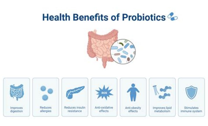Can probiotics help malabsorption