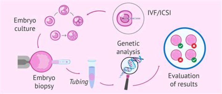 Can you do PGS testing on fresh embryos?