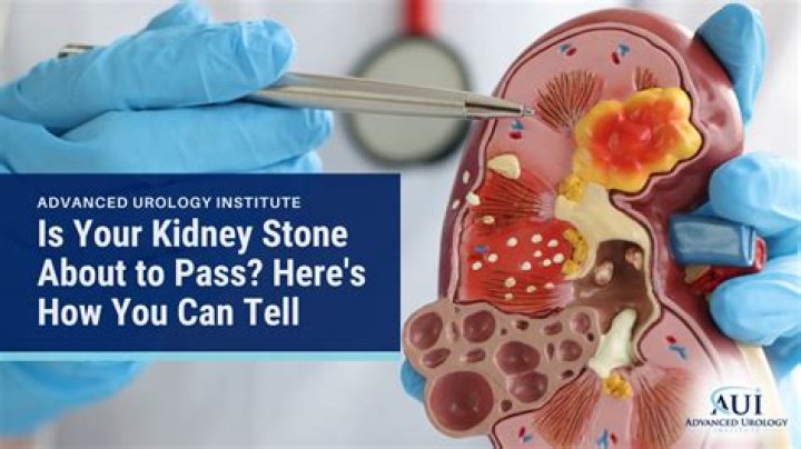 Can your kidney explode