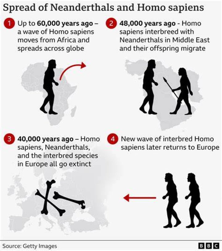 Did humans ever breed with Neanderthals?