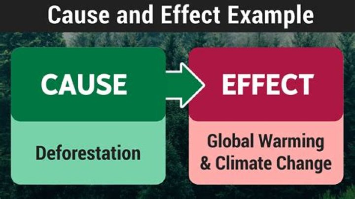 Do animals understand cause and effect