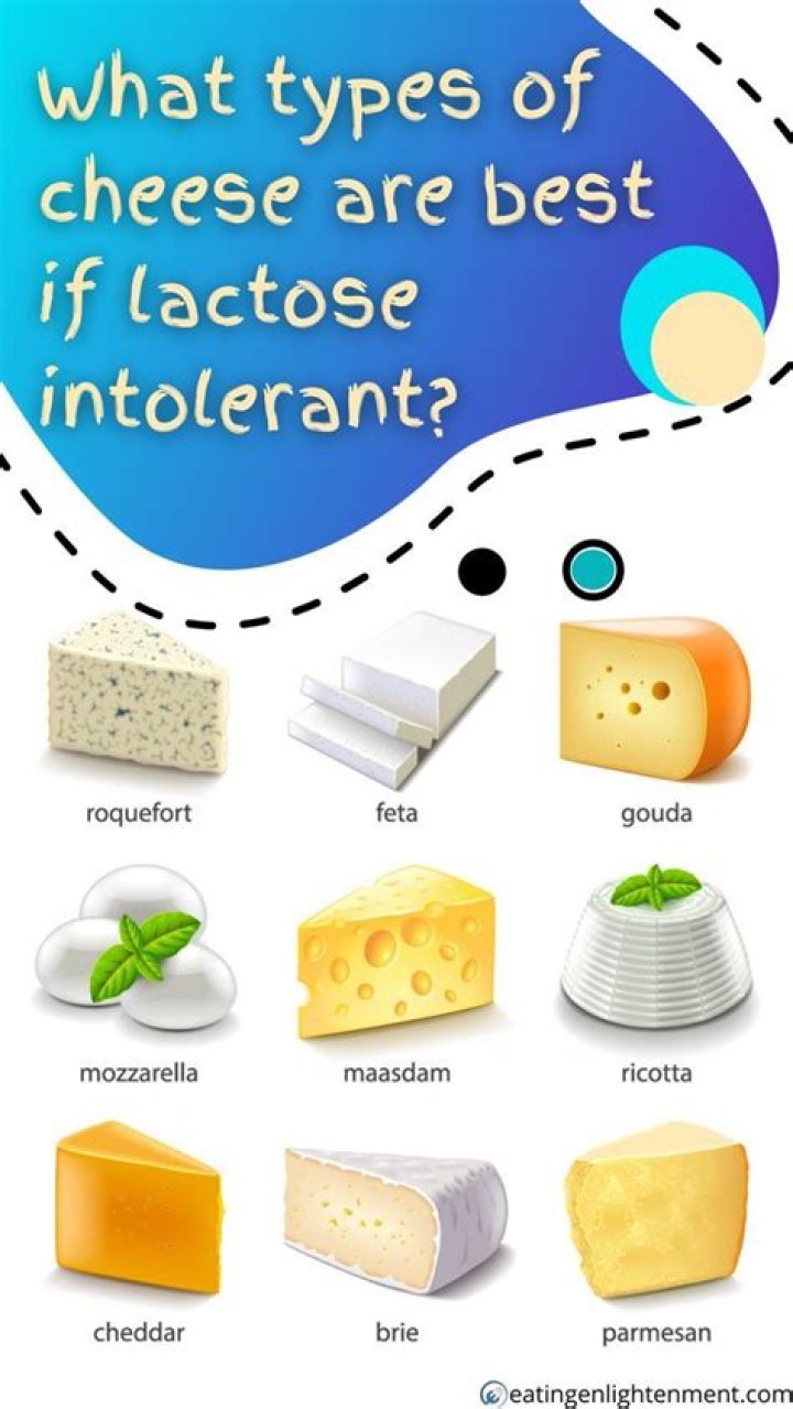 Do different cheeses have different bacteria?