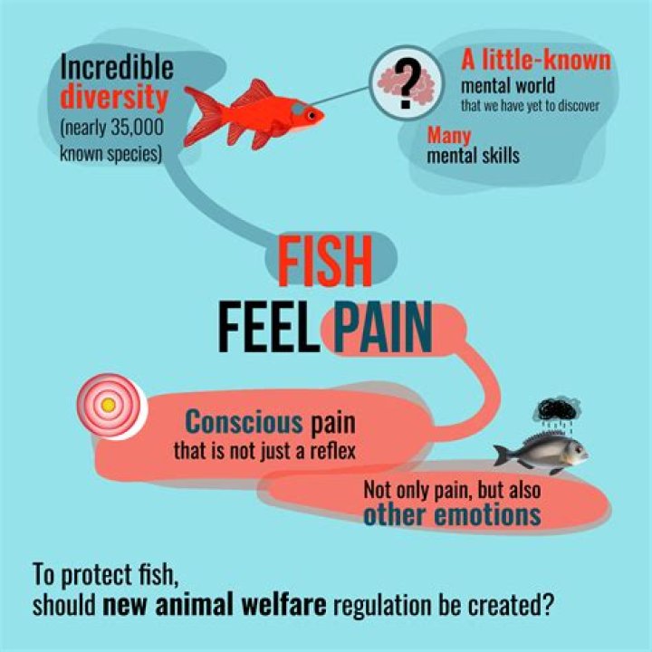 Do fish feel anxiety