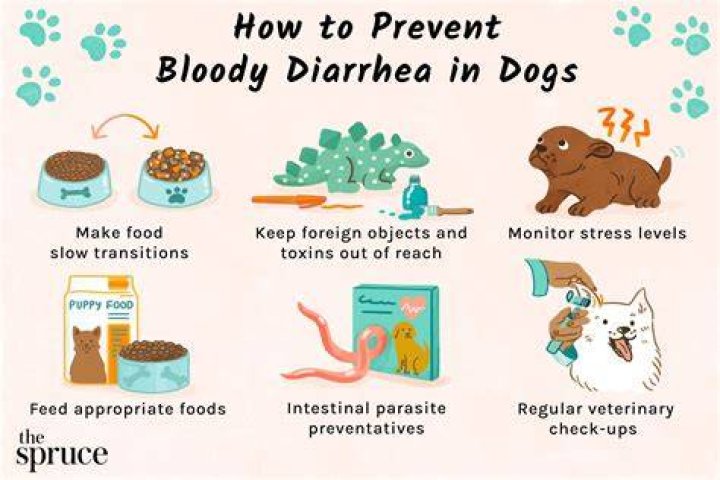 Do gummy bears help with diarrhea?