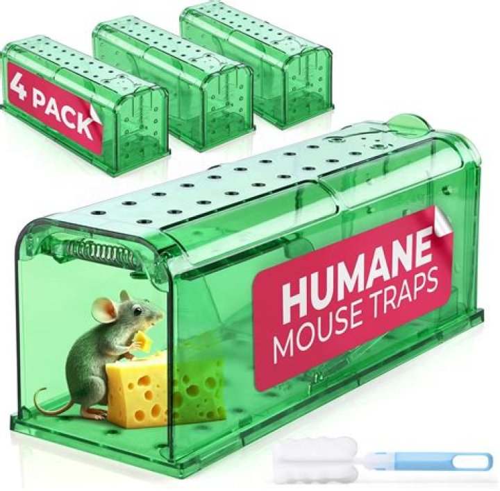 Do mouse traps break the mouses neck