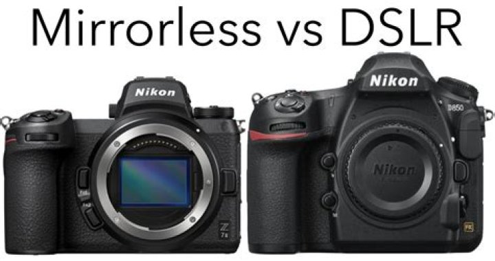 Do professionals use DSLR or mirrorless?