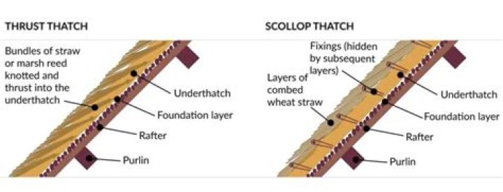 Do thatched roofs attract spiders