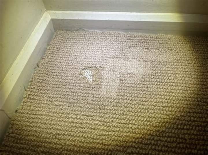 Do wheelchairs damage carpet?