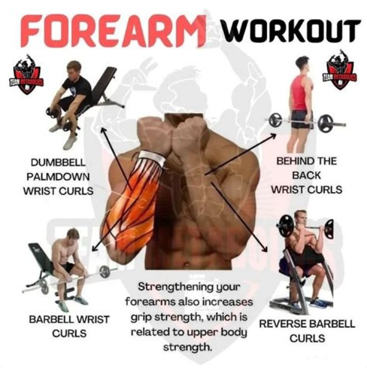 Do wrist rollers build forearms?