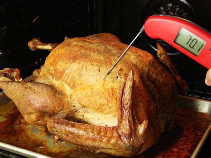 Do you put thermometer in turkey while cooking?