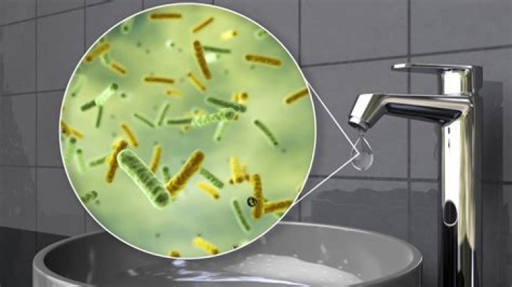 Does ammonia kill germs in laundry