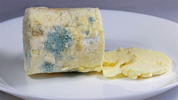 Does blue cheese get moldy?
