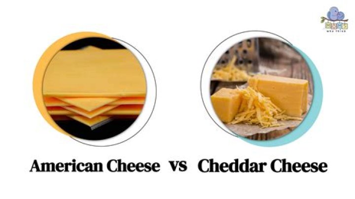Does cheddar cheese have bacteria?