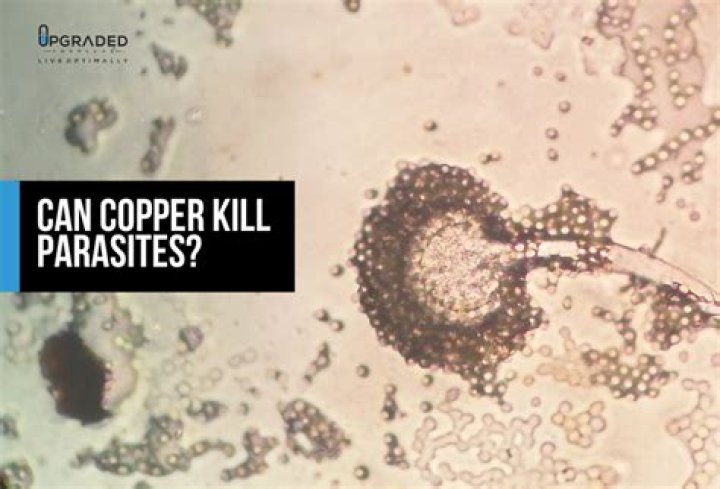 Does copper kill fungus