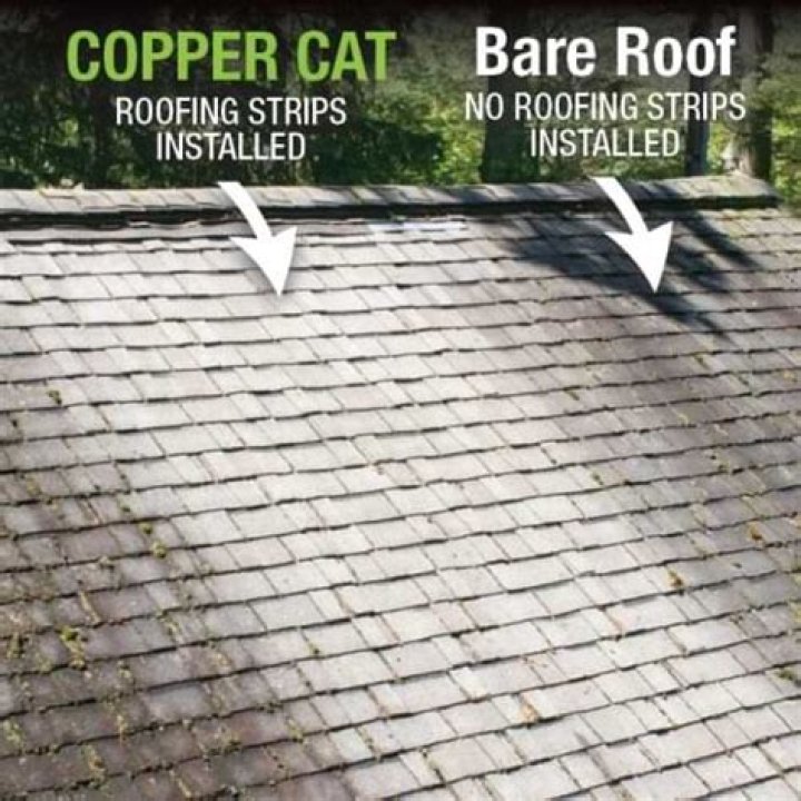 Does copper stop moss on roofs?