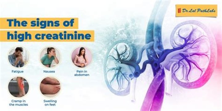 Does creatine affect your veins?