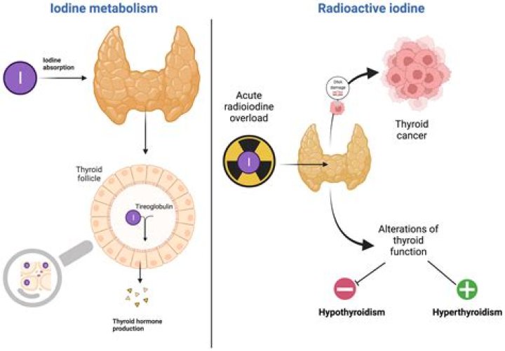 Does Elevit have enough iodine?