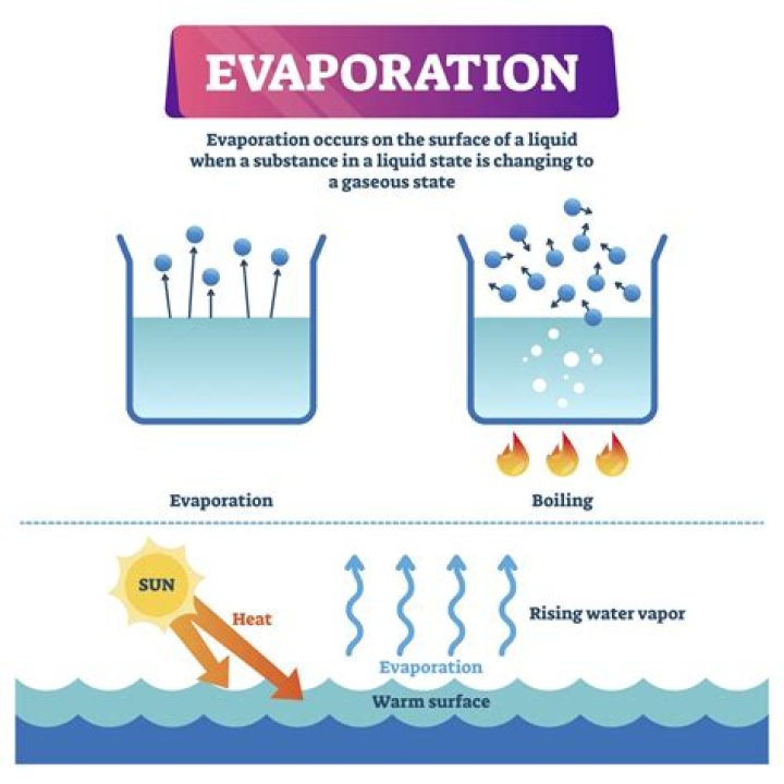 Does gasoline evaporate clothes