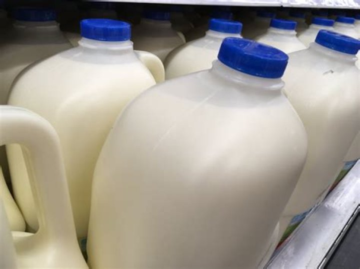 Does glue contain milk?
