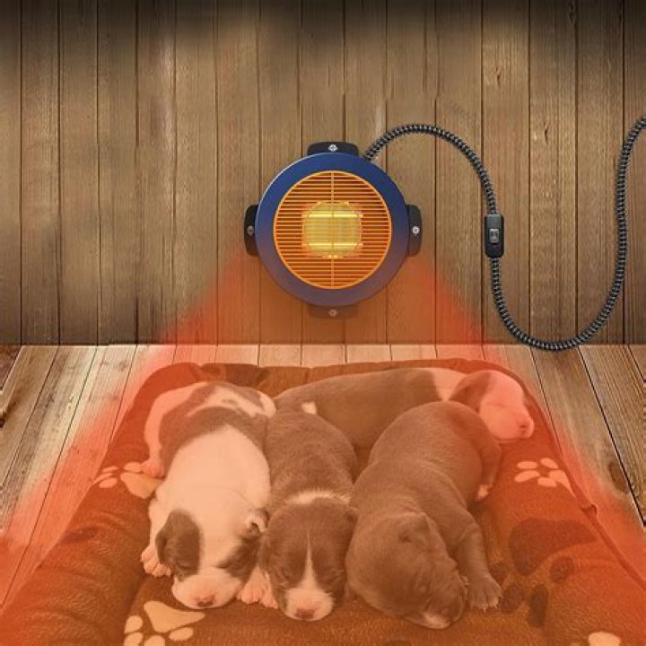 Does having carpet keep a house warmer?