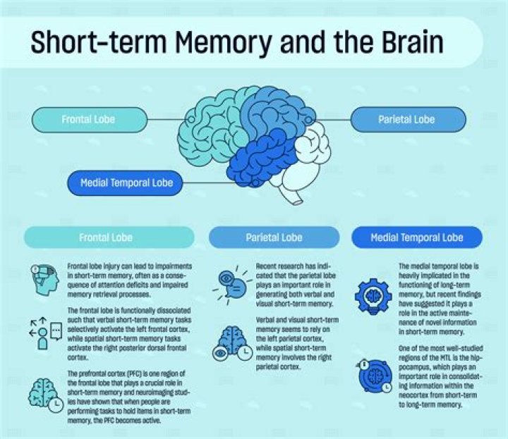 Does losartan affect your memory?