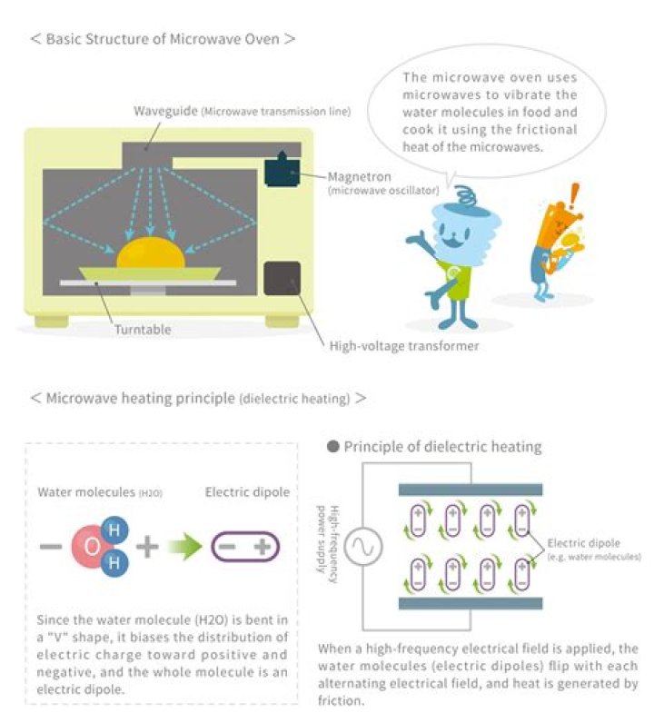 Does microwave oven affect pregnancy?