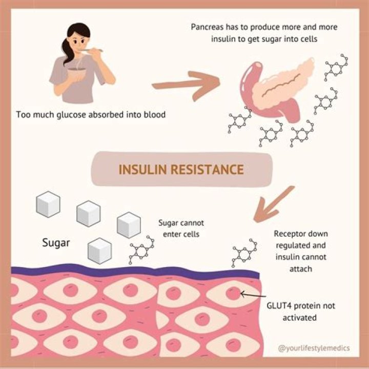 Does milk increase insulin resistance