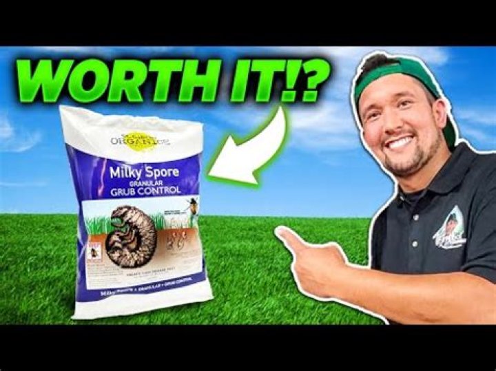 Does Milky Spore really work