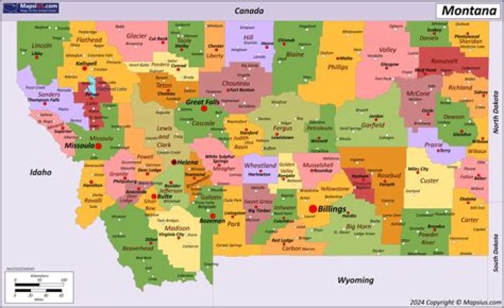 Does Montana have counties