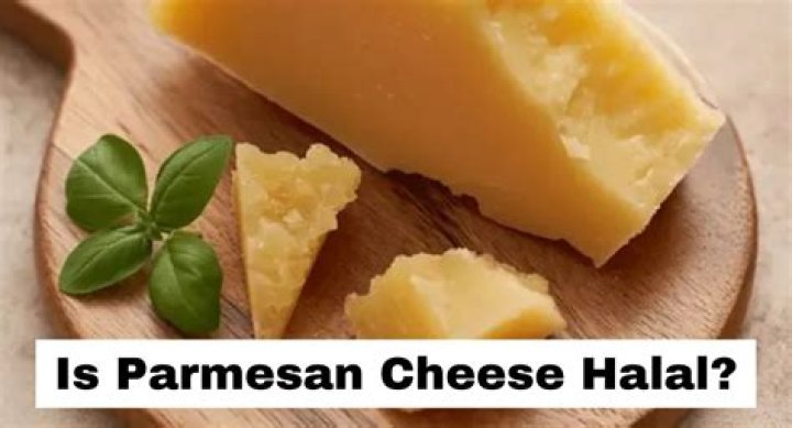 Does Parmesan cheese have bacteria?