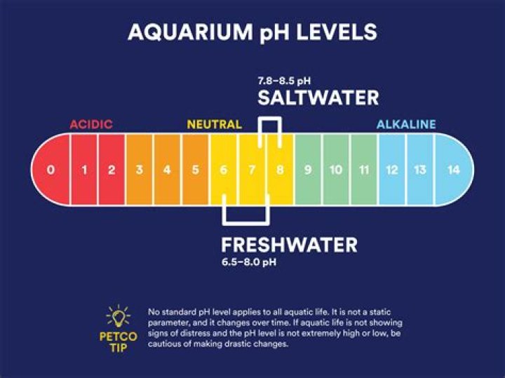 Does Petco do water testing