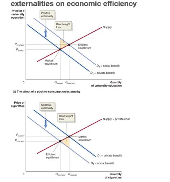 Does public goods generate positive externalities