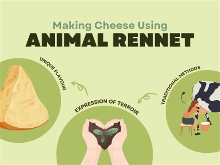 Does rennet come from animals?