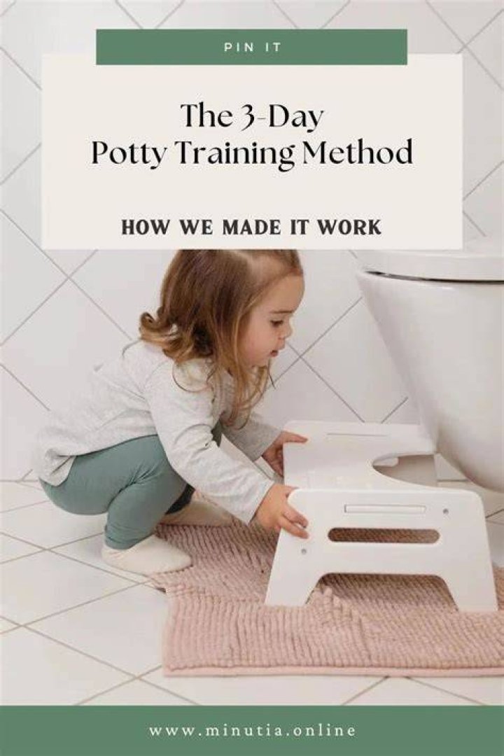 Does the 3 day potty training method work